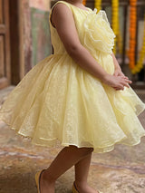 Girls Sunny Yellow Organza Party Wear Frock with 3D Floral Appliqué