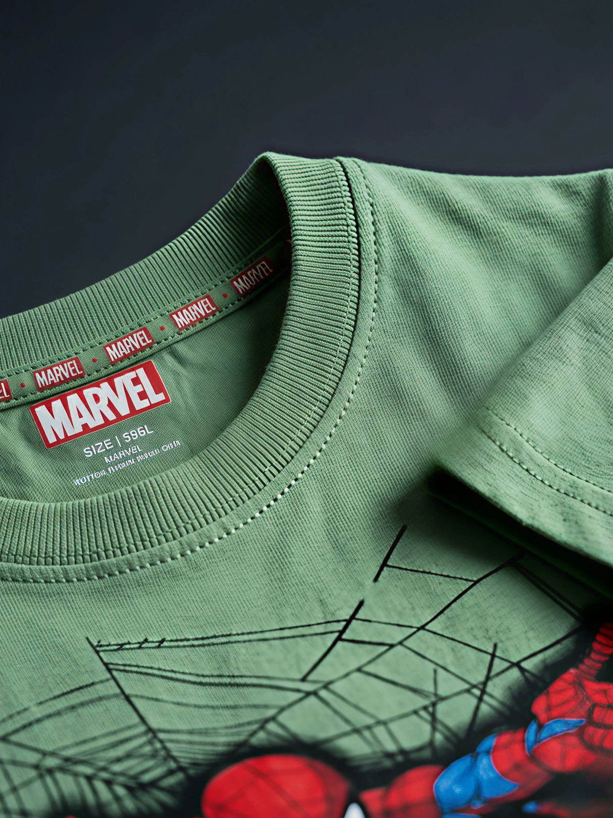 Boys Green Spider-Man Graphic Printed T-Shirt.