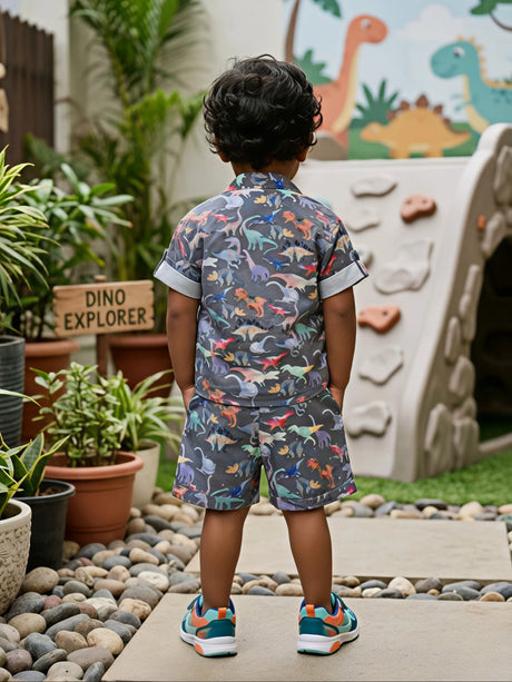 Boys Grey Dinosaur Print Cotton Co-ord Set
