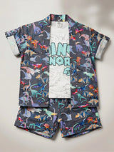 Boys Grey Dinosaur Print Cotton Co-ord Set
