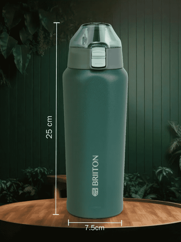 Briiton Water Bottle Tokyo Steel 650 Ml Green For Unisex