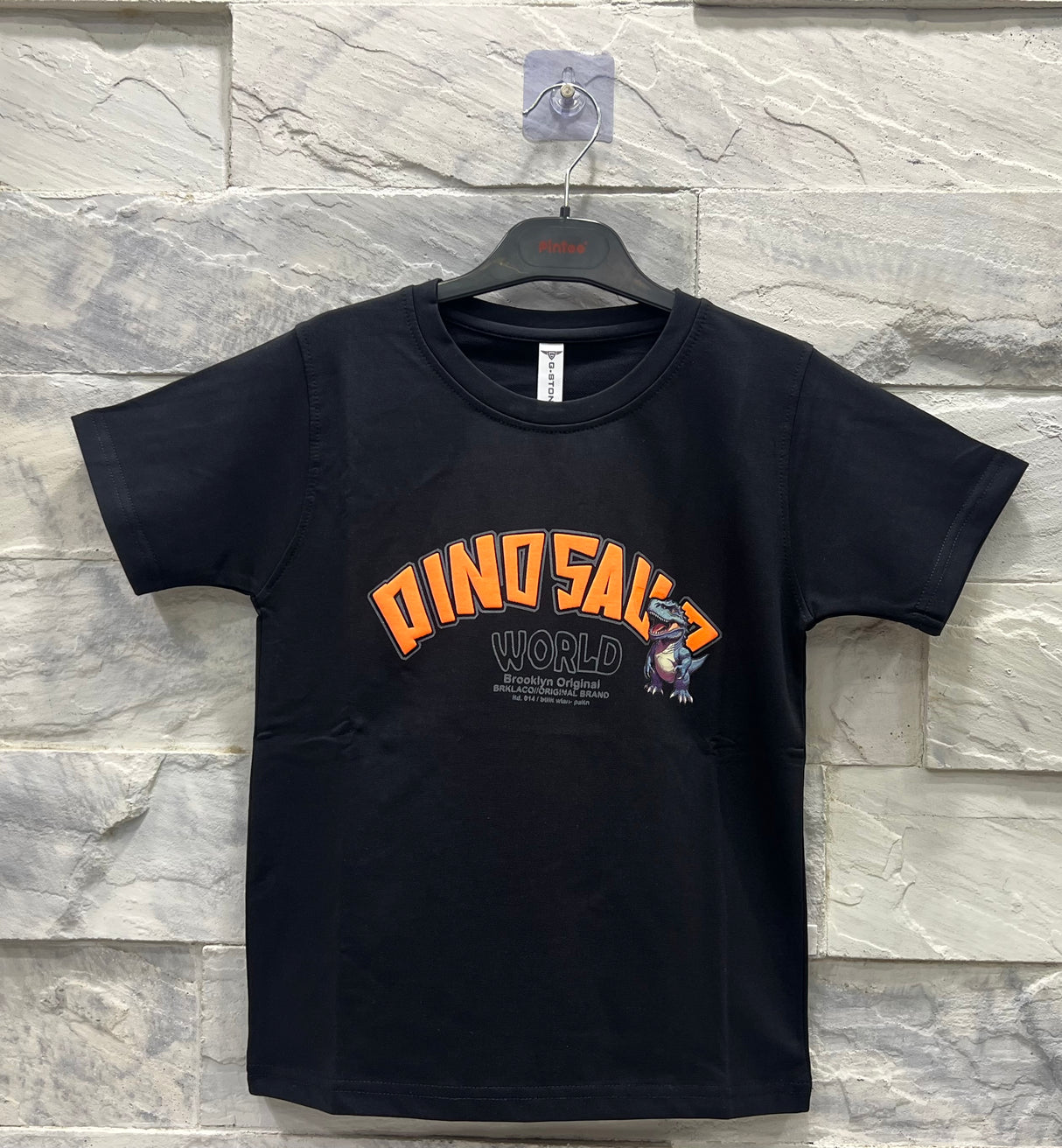 Boys' Black Dinosaur Graphic T-Shirt – Dino World Print Tee