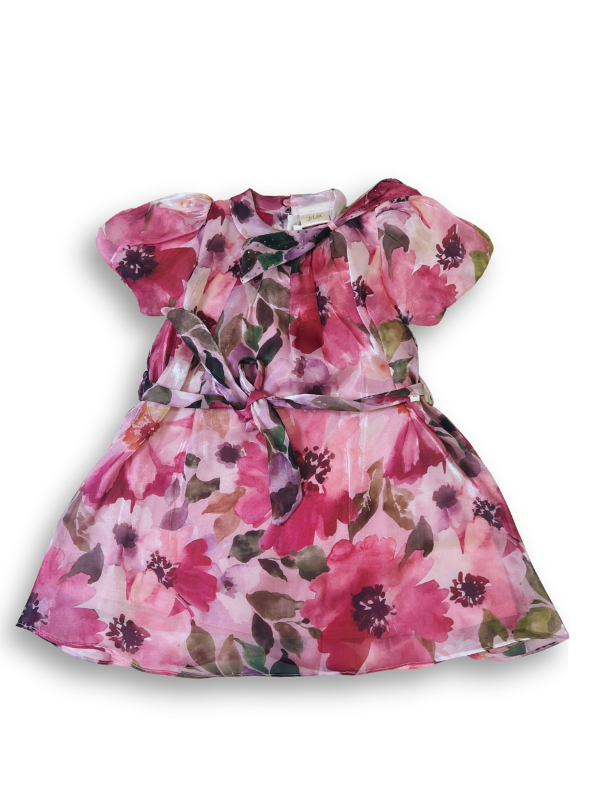 Girls' Pink Floral Sheer Organza Party Frock