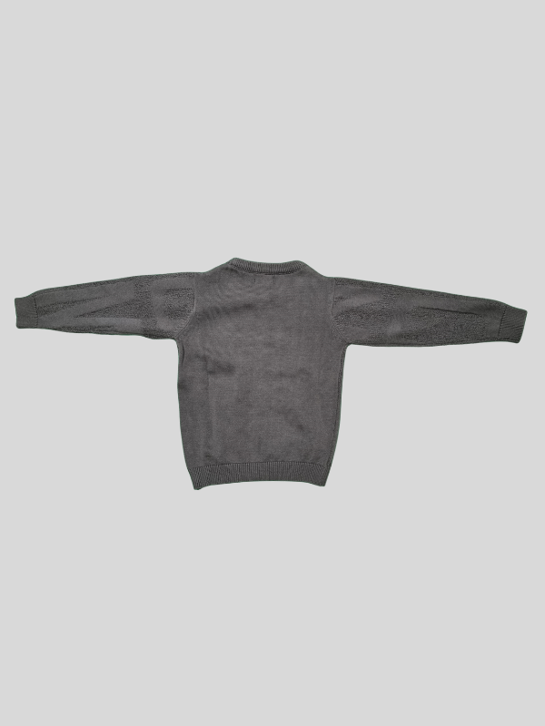 Boys Casual Full Sleeves Printed Round Neck T-Shirt - Grey