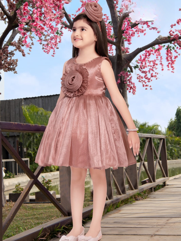 Girls Party Heavy Party Frock with work - Peach
