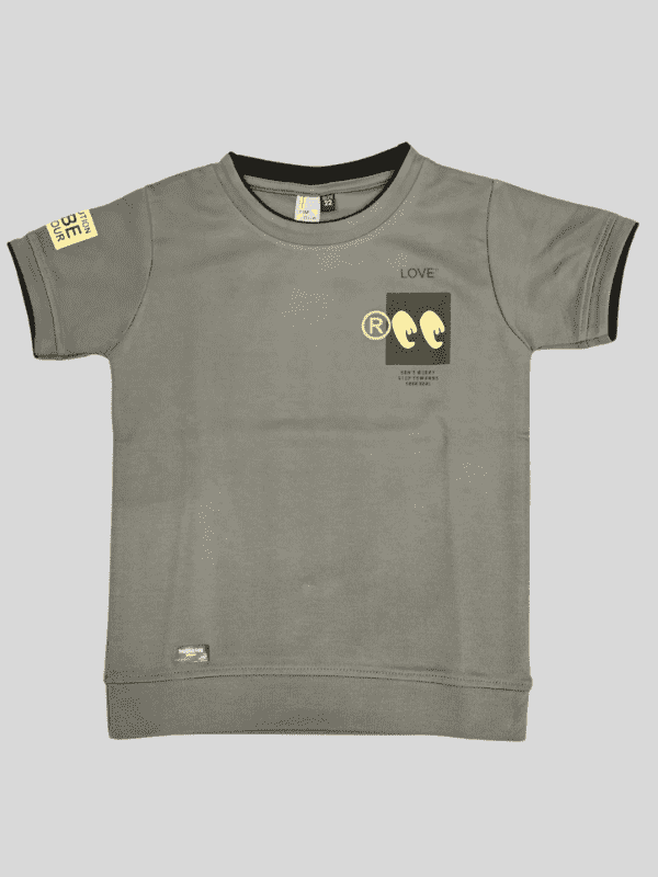 Boys Casual Half Sleeves Printed Round Neck T-Shirt - Grey