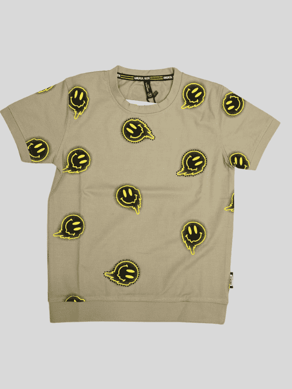 Boys Casual Half Sleeves Printed Round Neck T-Shirt - Grey