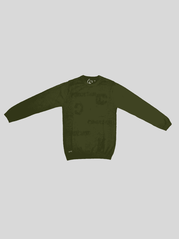 Boys Casual Full Sleeves Plain Round Neck T-Shirt - Green