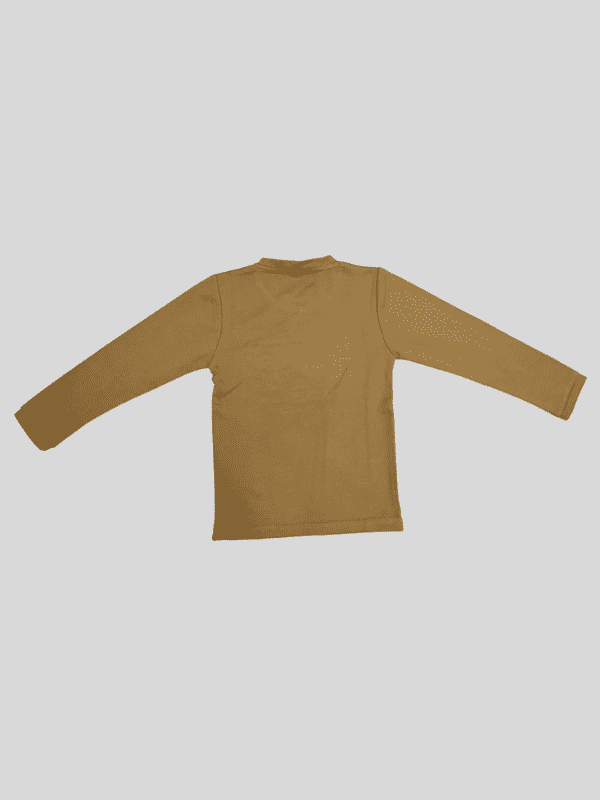 Boys Casual Full Sleeves Plain Round Neck T-Shirt - Brown