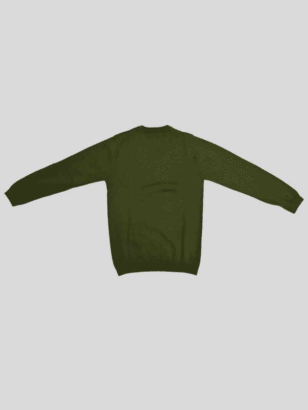 Boys Casual Full Sleeves Plain Round Neck T-Shirt - Green