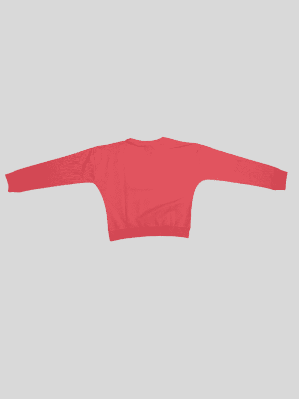 Girls Leisure Full Sleeves Printed Round Neck Top - Pink