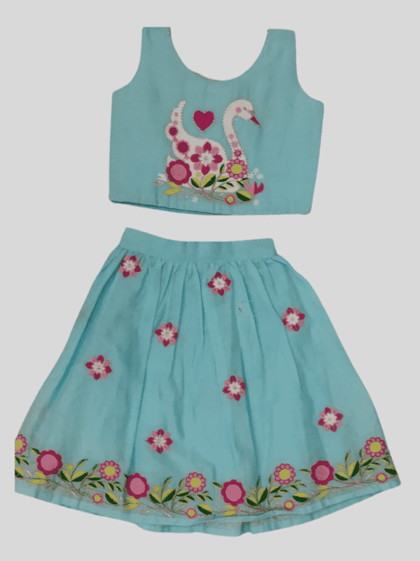 Girls Traditional Sleeves Less Long Choli - Blue